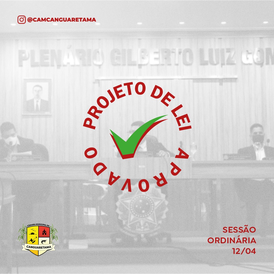 Leia mais sobre o artigo Confira os Projetos aprovados na sessão ordinária de ontem (12).